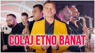 Puiu Codreanu - ETNO Banat cu @arminnicoaraofficial și Formația Codruț [COLAJ 4K]