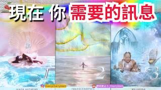   「現在. 緊急」你需要的訊息｜你的緊急訊息｜宇宙 高我 給你的指引 ️ 有字幕 🟣無時間限制占卜 🟡  #塔羅 #占卜 #字卡 #tarot #oracle #指引 #高我 #宇宙 #緊急