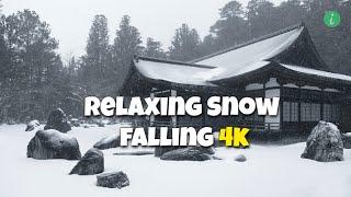 Snow Falling | Relaxing Snow Falling 4k | Snow Falling Relaxing Music | Info Hifi