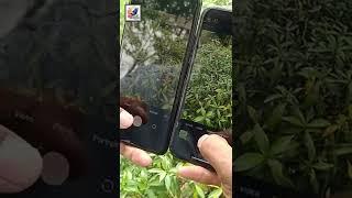 Mi 11 lite 5G NE vs iPhone  11 Camera Comparison Test 2022 #shorts