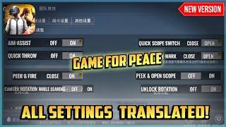 Game For Peace Basic Settings Translated in English | Chinese PUBG New Settings Latest Version 2025