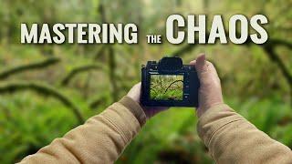 Master the Chaos: #1 Tip for Stunning Woodland Photography