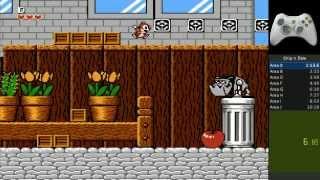 Chip 'N Dale Speedrun Any% World Record | 10:09 RTA Timing