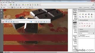 Acrobat Tutorial - How to use the Text Box tool