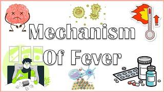 Why Do We Get Fever When We Are Sick? The Actual Mechanism Behind Fever |Pathophysiology Of Fever