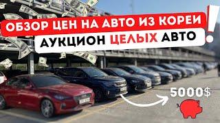 Автопригон из Кореи в Украину. Аукцион ЦЕЛЫХ авто с ОРИГИНАЛЬНЫМ пробегом