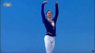 Nikita Korneev (Russia) - Grand Pas Classique | XIV Moscow Ballet Competition, Senior Round 1