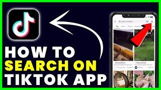 How to Search On TikTok
