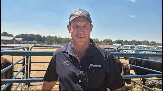 Chippy Watson from Vova Genetics talks about the Eastern Droughtmaster Club and the breed.