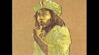 Bob Marley & the Wailers -- Roots, Rock, Reggae