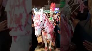 Karbala Ho Ghi Tyar Nadeem sarwar Noha status 7 Muharram 2024 1446ھ Zuljanah videos