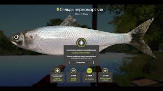 Русская Рыбалка 4/ Russian Fishing 4 - Seversky Donets River, Pontic shad Trophy, 27.07.2024