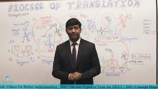 NEET Crack Course | Biology - Process of Translation | Cellsius Institute