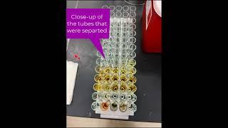 Separation of mixtures using column chromatography: CombiFLASH NextGen 3000