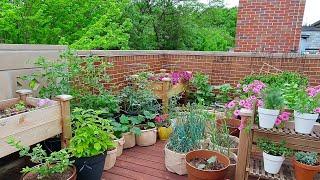 The Most Important Thing To Know Before Starting A Rooftop Garden | Deck Capacity