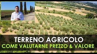 Come valutare il Prezzo di un Terreno Agricolo | Gli aspetti Ambientali più importanti