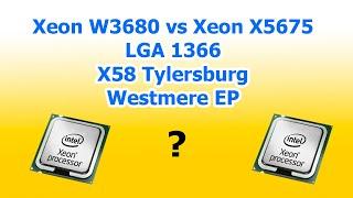 Xeon X5675 vs W3680 (LGA 1366)
