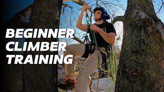 Tree Climbing 101: A Beginner's Guide to the Basic Fundamentals