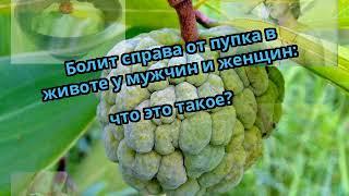 Болит справа от пупка в животе у мужчин и женщин: что это такое?