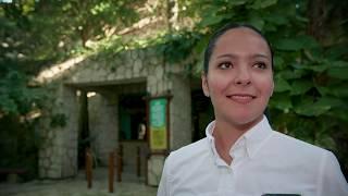 GRUPO XCARET: THE EVOLUTION | Grupo Xcaret, Parks & tours in Cancun, Mexico.