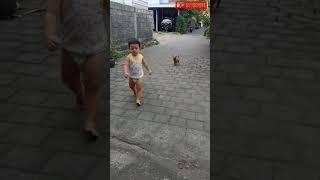 Viral, Bayi 2 tahun digigit anjing gila#shorts  #baby #cute #dog