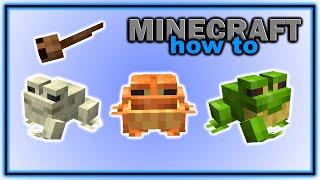 Everything About Frogs and Tadpoles in Minecraft! (1.19+) | Easy Minecraft Tutorial