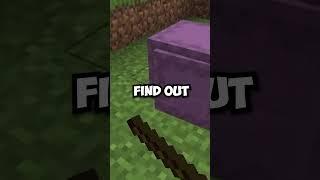 Minecraft's Best Duplication Glitch Ever