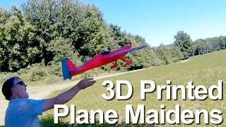 3D Printed Plane Maidens - Mustang, P-38 and Zivko Edge