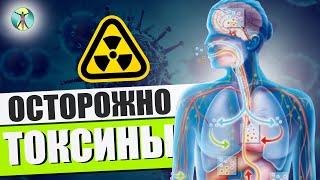 Что такое ДЕТОКС? ДЕТОКСИКАЦИЯ. Очищение от токсинов.