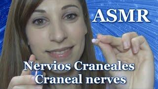 Craneal nerves Role play ASMR /3DIO