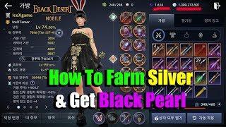 Black Desert Mobile How to Farm Silver & Get Black Pearl