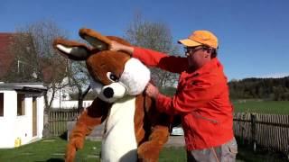 Sepp Bumsinger und das Osterhasenrennen