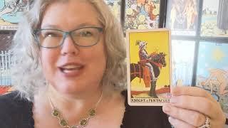 Friday Card: Knight of Pentacles reversed.