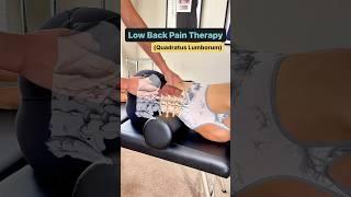 Erector & QL Massage for Low Back Pain #lowbackpain #massage