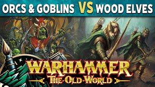 Orcs & Goblins vs Wood Elves - The Wold World Live Battle Report