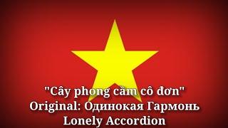 Cây phong cầm cô đơn - Одинокая Гармонь, Lonely Accordion [Vietnamese Version]