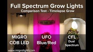 Full spectrum grow light comparison test - COB vs Red Blue LED vs CFL