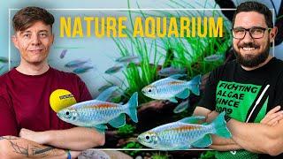 LESS IS MORE?! | Building a MINIMALIST NATURE Aquarium with Fabian Beck(@scapeling-loveaquascaping )