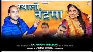 SYALI NANDRAMA || SINGER- DHOOM SINGH RAWAT || GARHWALI SONG || CHAKHULI FILMS