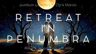 pumbum x Lanvary ft. Chris Maroo - Retreat in Penumbra (PROFF Respray x nuson edit)