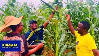 How She Makes Her Own Organic Fertilizer, Deep In Rural African Village 