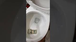 $20 in the toilet...