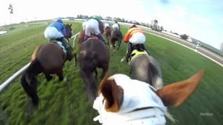 Jeffrey Sanchez Jockey Cam: Ride the Race with EquiSight at Gulfstream Park in HD