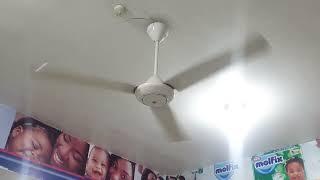 Several 56-inch KDK ceiling fans at a supermarket