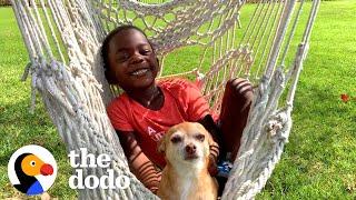 Kid Writes Most Heartfelt Letter To His 16-Year-Old Chihuahua | The Dodo