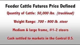 What are Feeder Cattle Futures Prices?