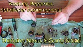 Shimano Nexus 3 Gang, Teil 2, detaillierte Montage, Service, Reparatur