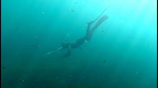 Подводная охота Ангара (Иркутск) Spearfishing Angara River (Irkutsk)