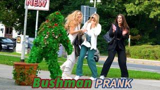 Christmas Time Special.Bushman Prank Funny Reactions.