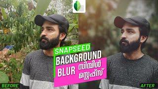 How to BLUR BACKGROUND with Snapseed in 3 steps | Snapseed Malayalam editing Tutorial New Tips